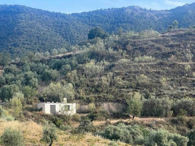 Terreno en Venta en El Valle