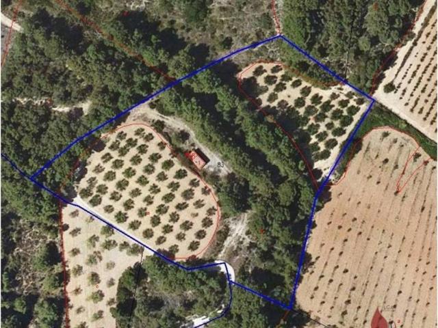 Terreno en Venta en Vila rodona