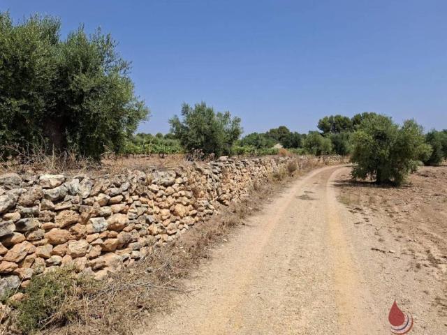 Terreno en Venta en El Vendrell