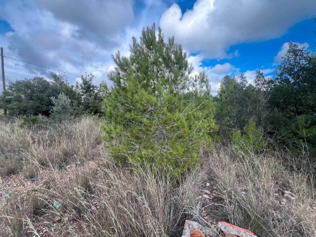 Terreno en Venta en El Vendrell