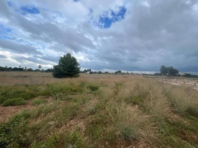 Terreno en Venta en El Verger