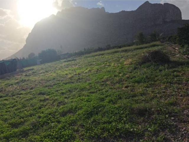 Terreno en Venta en El Verger
