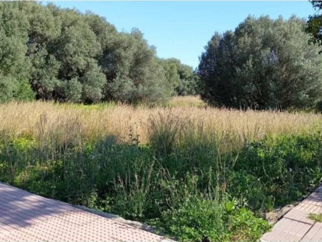Terreno en Venta en El Verger