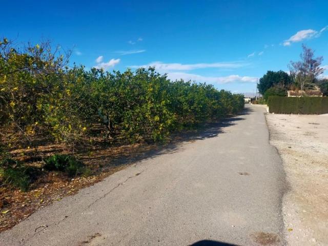 Terreno en venta en Elche, Asprillas