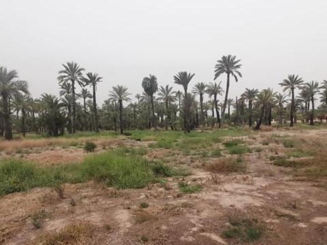 Terreno en venta en Elche, Daimes