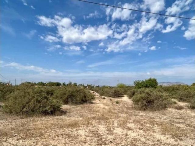 Terreno en Venta en Elche de La Sierra