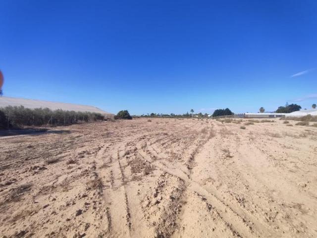 Terreno en venta en Elche, Elche / Elx