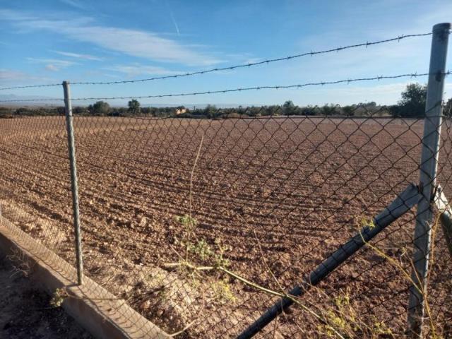 Terreno en venta en Elche, Elche / Elx