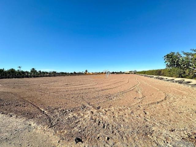 Terreno en Venta en Elche Elx