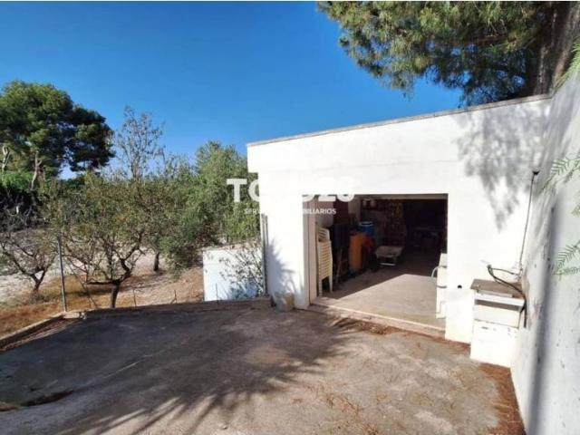 Terreno en Venta en Elche Elx