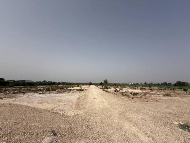 Terreno en Venta en Elche Elx