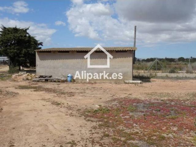 Terreno en Venta en Elche Elx