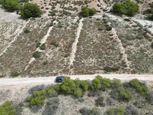 Terreno en Venta en Elche Elx