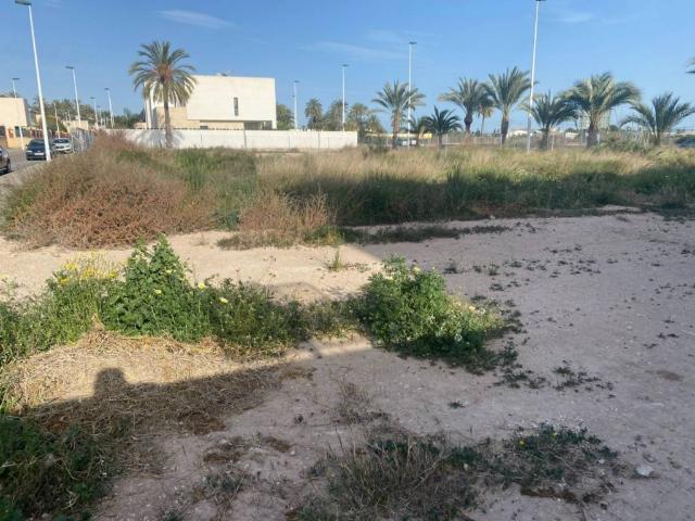 Terreno en Venta en Elche Elx