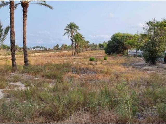 Terreno en Venta en Elche Elx