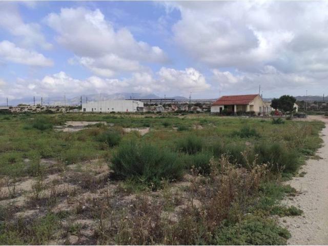 Terreno en Venta en Elche Elx
