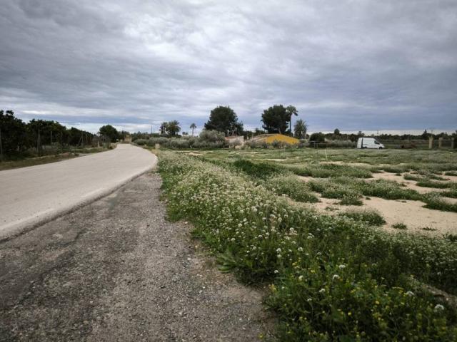 Terreno en Venta en Elche Elx