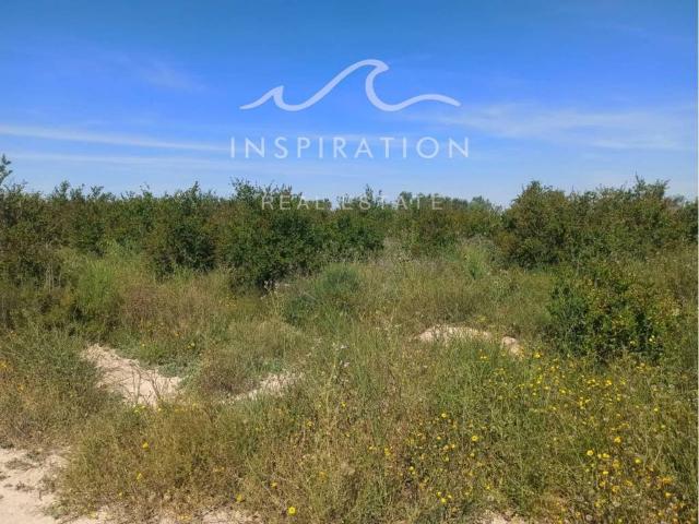 Terreno en Venta en Elche Elx