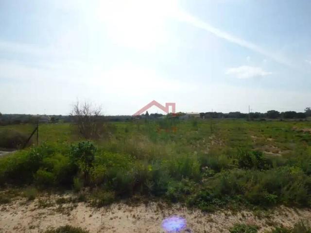 Terreno en Venta en Elche Elx