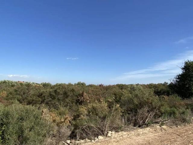Terreno en Venta en Elche Elx
