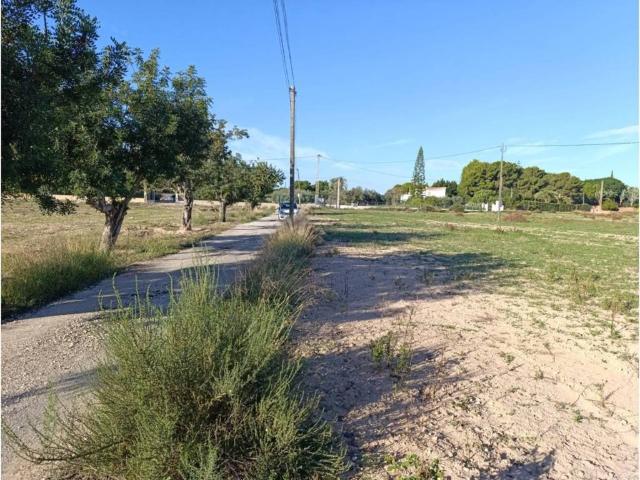 Terreno en Venta en Elche Elx