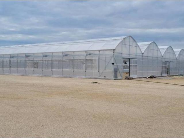 Terreno en Venta en Elche Elx