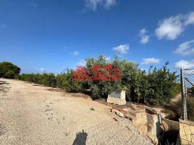 Terreno en Venta en Elche Elx