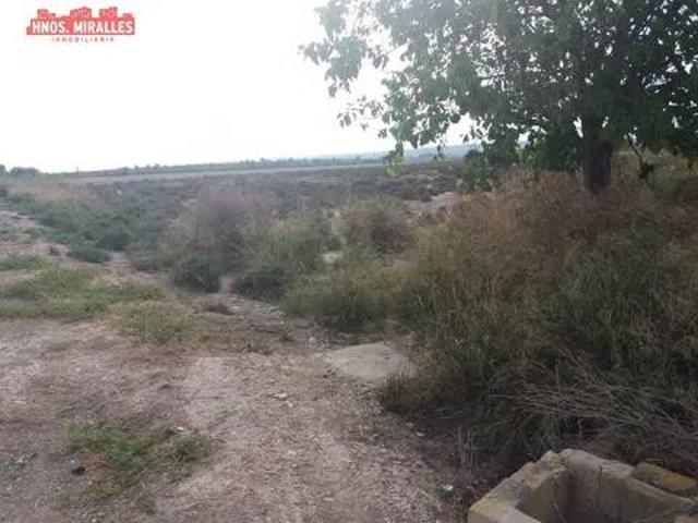 Terreno en Venta en Elche Elx