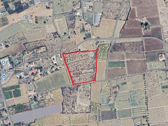 Terreno en Venta en Elche Elx