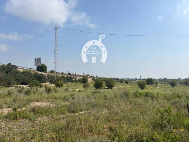 Terreno en Venta en Elche Elx