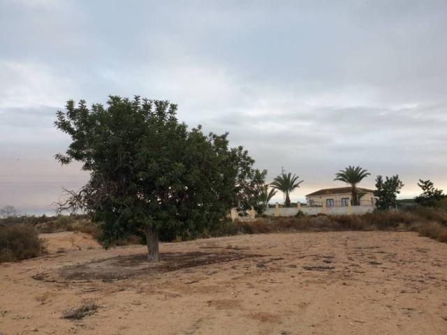 Terreno en Venta en Elche Elx
