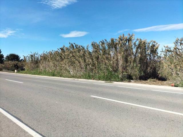 Terreno en Venta en Elche Elx