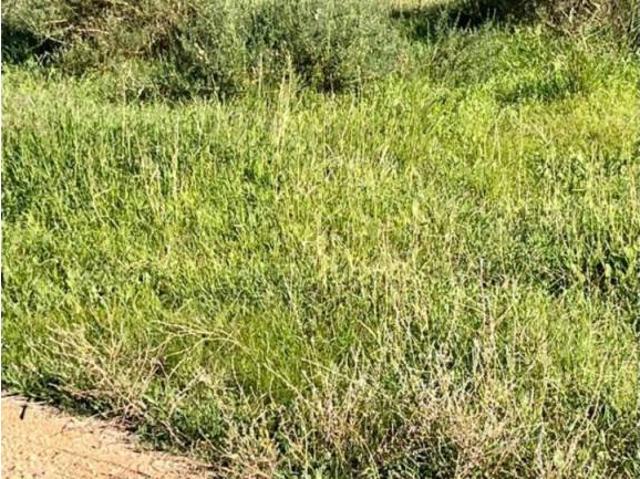Terreno en Venta en Elche Elx