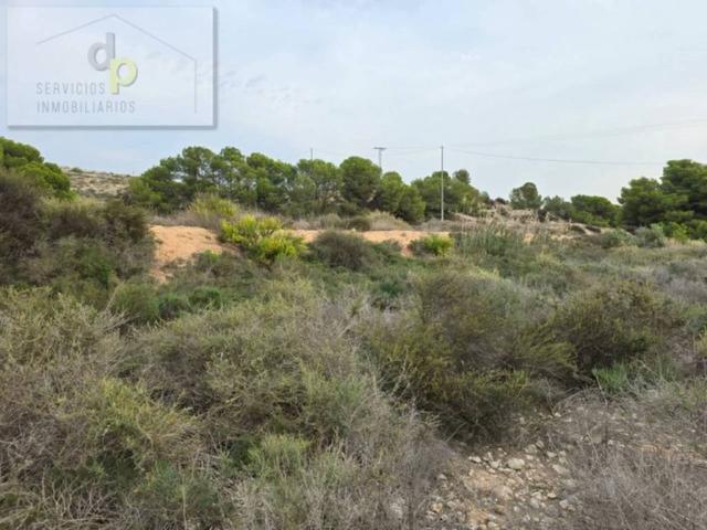 Terreno en Venta en Elche Elx