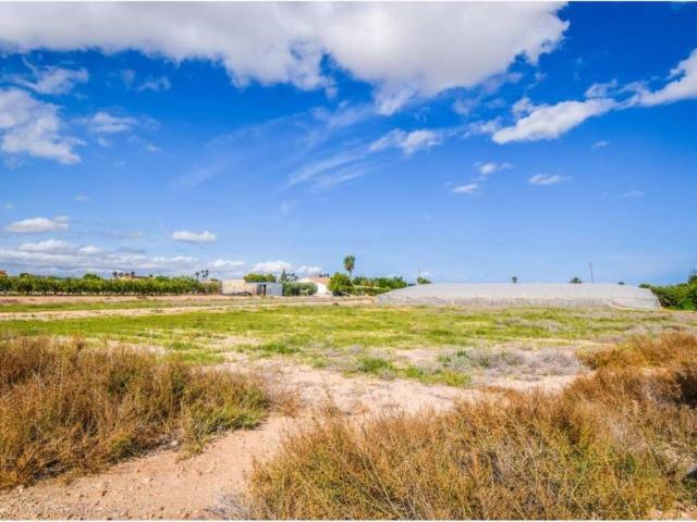 Terreno en Venta en Elche Elx