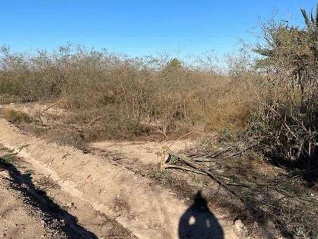 Terreno en Venta en Elche Elx