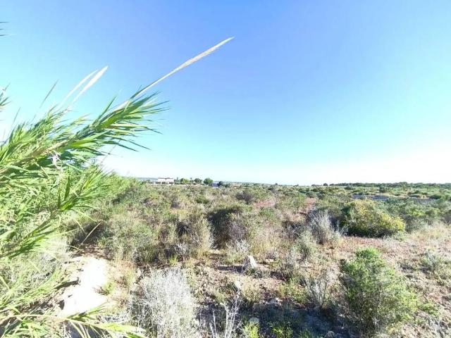 Terreno en Venta en Elche Elx