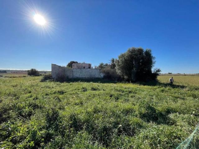 Terreno en Venta en Elche Elx