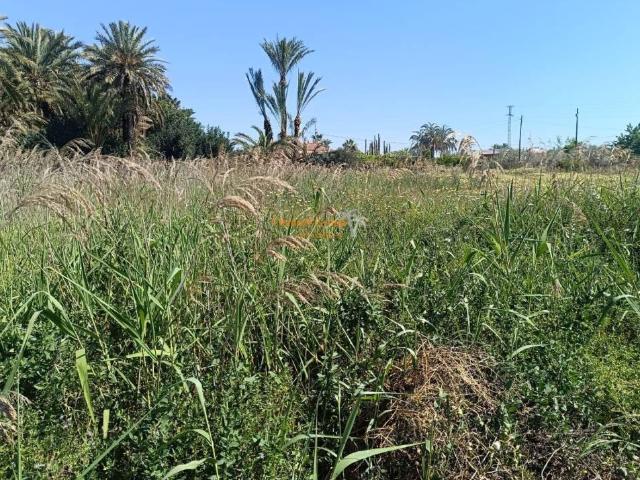 Terreno en Venta en Elche Elx