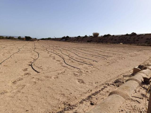 Terreno en Venta en Elche Elx