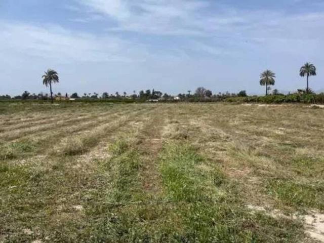 Terreno en Venta en Elche Elx