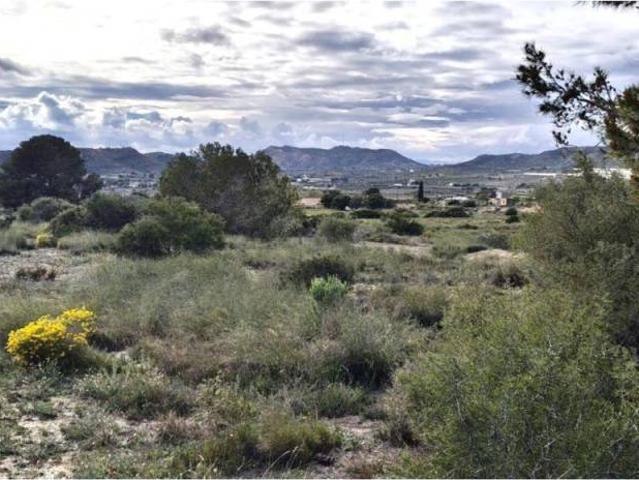 Terreno en Venta en Elche Elx