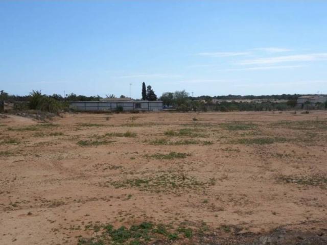 Terreno en Venta en Elche Elx