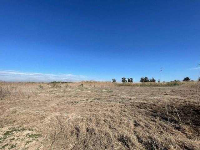 Terreno en Venta en Elche Elx