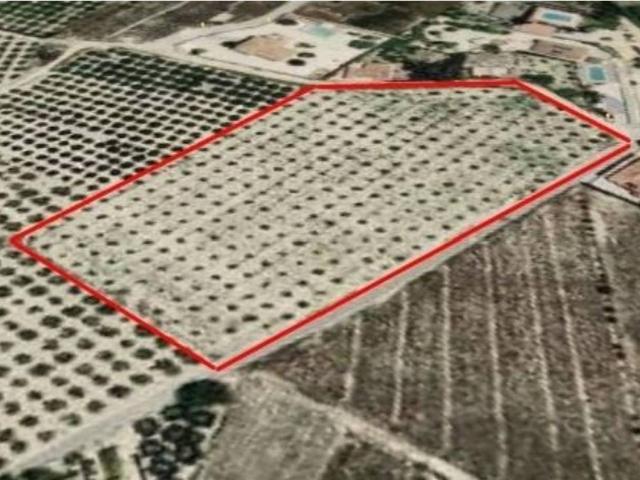 Terreno en Venta en Elche Elx