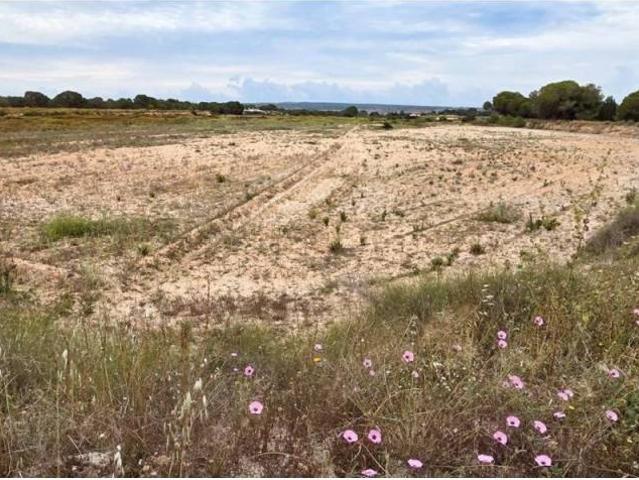 Terreno en Venta en Elche Elx