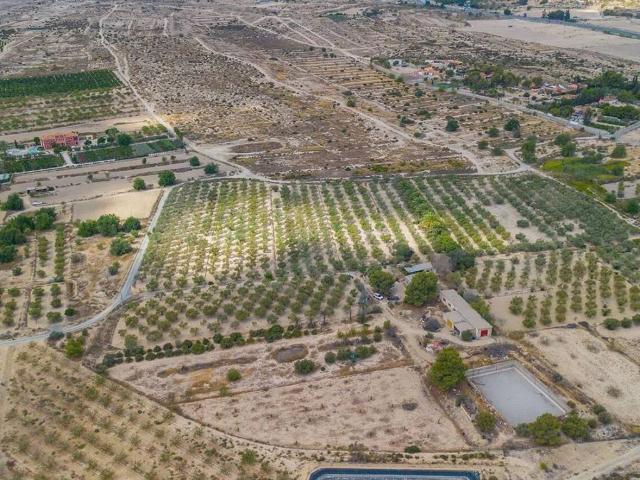 Terreno en Venta en Elche Elx