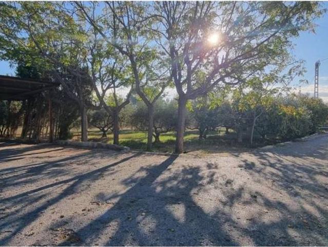 Terreno en Venta en Elche Elx