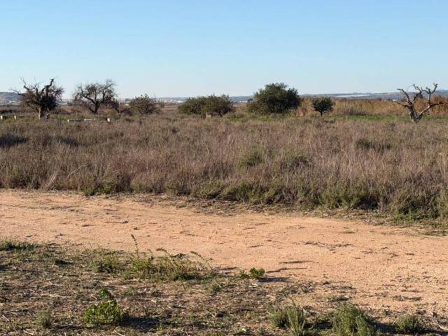Terreno en Venta en Elche Elx