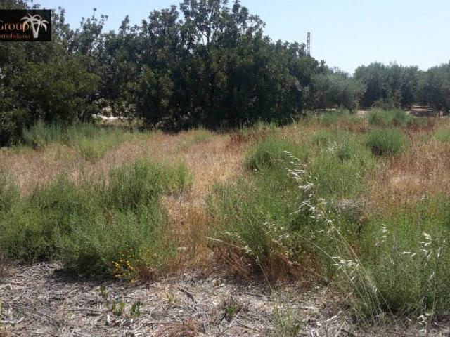 Terreno en Venta en Elche Elx